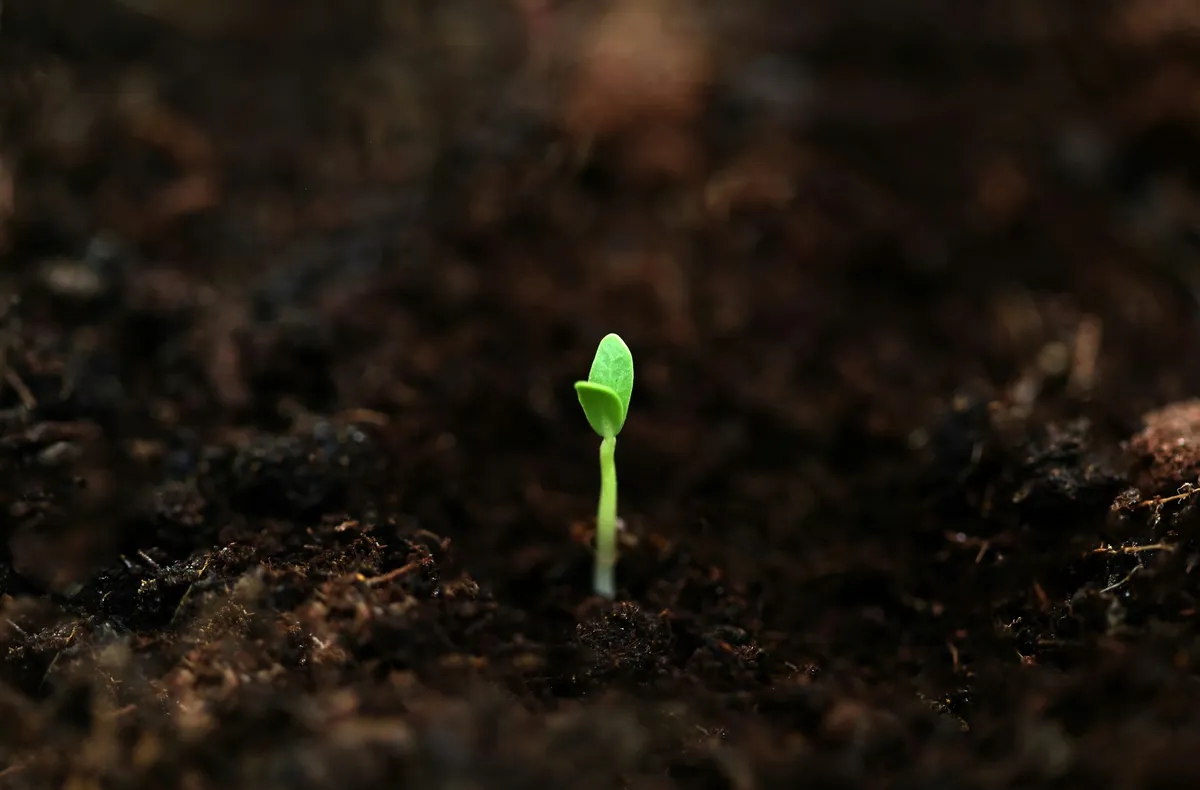 @fahim_ on Unsplash | Trust | ValYouRise